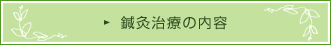 �I�����Â̓��e