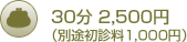 30分 2,500円（別途初診料1,000円）