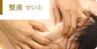 整膚 せいふ