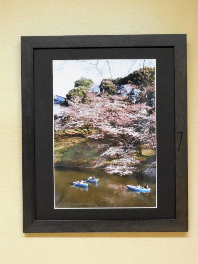 東京・千鳥ヶ淵の桜