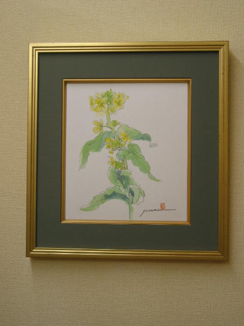 菜の花（Ⅱ）　38.5×41.5　（色紙）