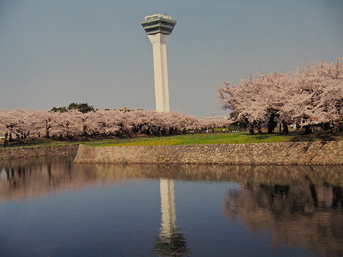 タワーとともに