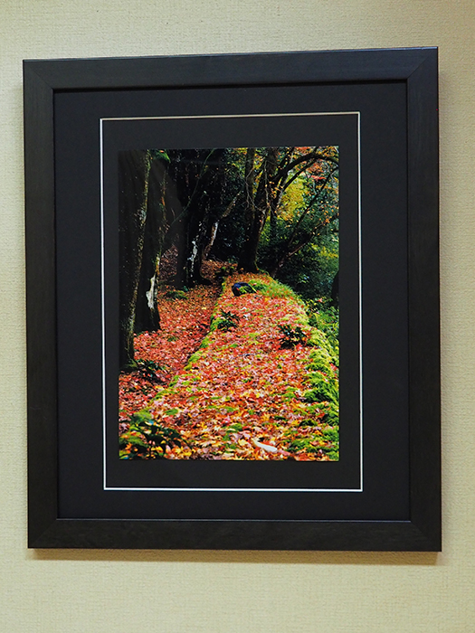 落紅の小径（谷汲山　　横蔵寺）