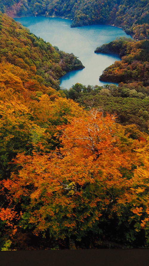ロープウェイから秋を堪能（新潟県　　湯沢町・三国）
