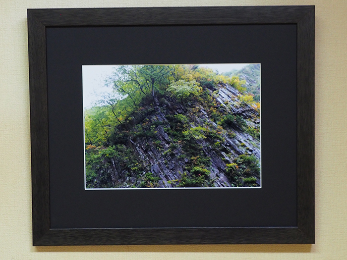 柱状節理にも秋が来た（新潟県　十日町・清津峡）