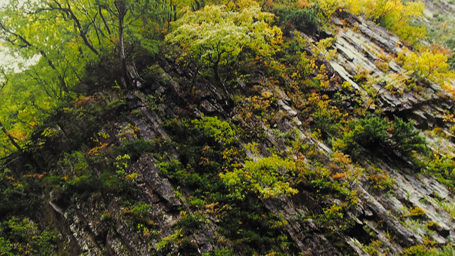 柱状節理にも秋が来た（新潟県　十日町・清津峡）