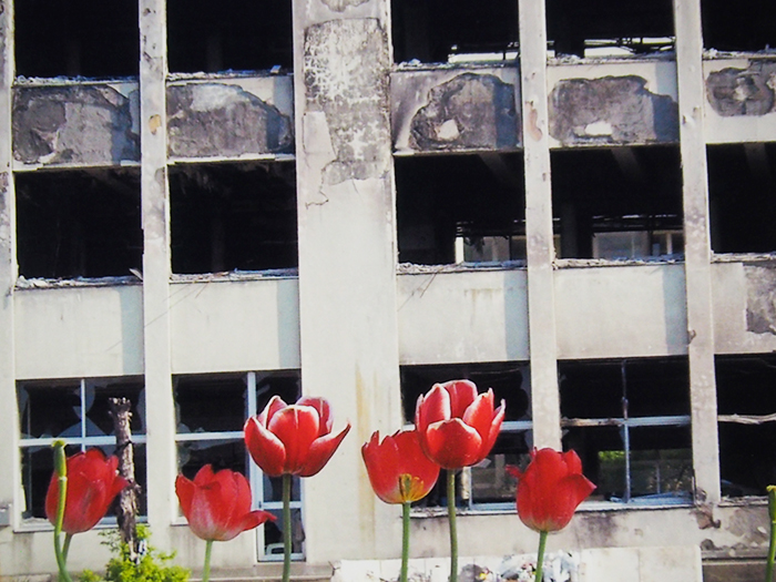 震災後の光景　2012.5　Ⅱ<br />
（門脇小学校の焼け跡）