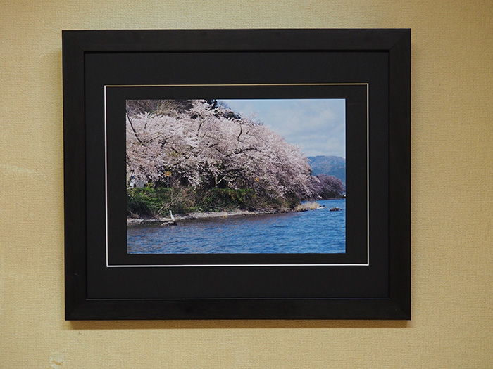 海津大崎の湖と桜（Ⅰ）（滋賀県）