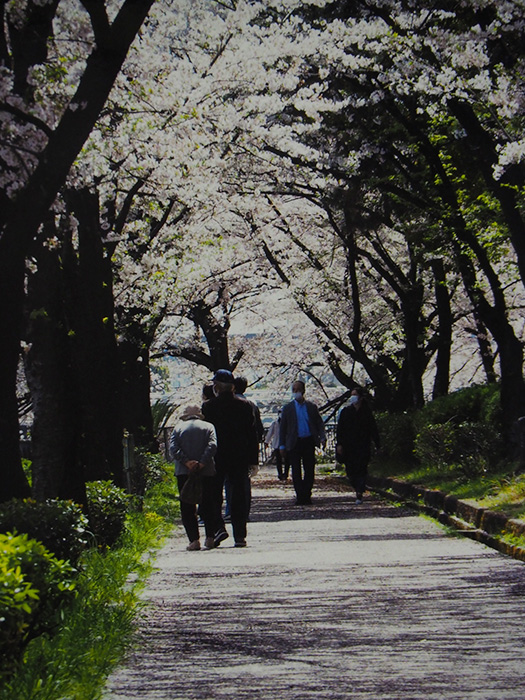荒子川公園・朝のお散歩　（名古屋市）