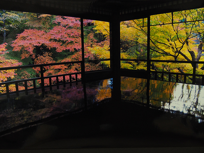 書院の輝き（京都・瑠璃光院）