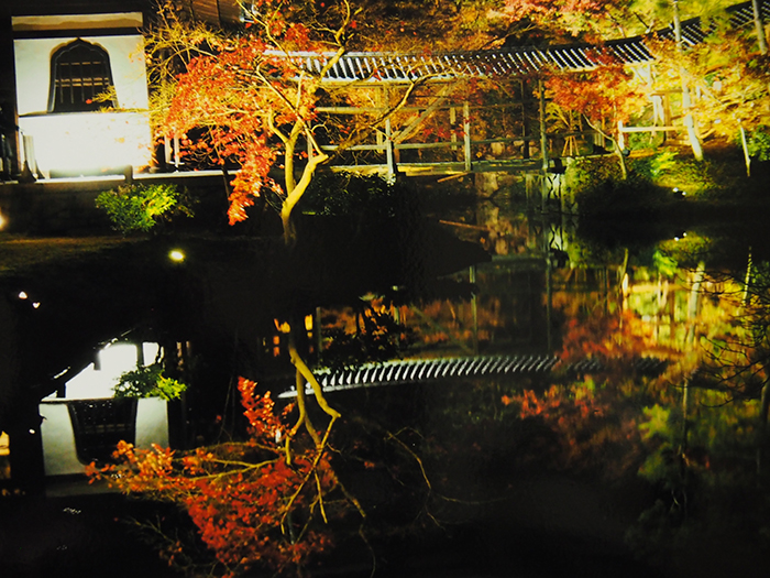 静寂（京都・高台寺）