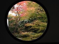 京都紅葉2015③