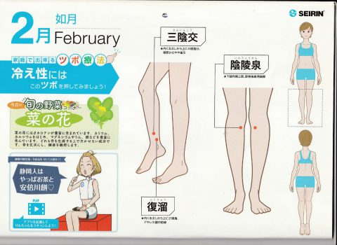 2月のAOI通信のテーマは ～「冷え症のツボ」と「肌荒れの予防」～ です