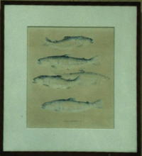 ニジマス（虹鱒）「水漬ければ」<br />
あまりにも美しいヒレピンの姿に<br />
その清流の透明感を出してみたかった